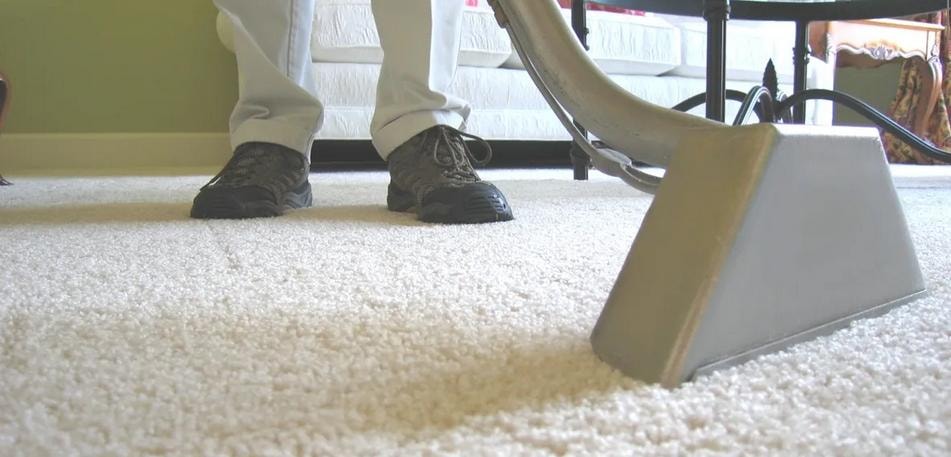 Professional carpet cleaning in progress